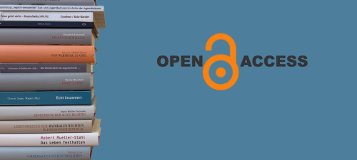 Grafik für die webseite zu Open Access am ZZF. Sie zeigt einen Stappel vn ZZF-Büchern, die im Open Access erscheinen sind. Der Hintergrund der Grafik ist taubenblau.