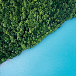 Luftaufnahme eines Waldes und eines Gewässers. Das Bild ist diagonal aufgeteilt, die obere linke Hälfte wird vom Wald eingenommen, der andere Teil vom Gewässer.